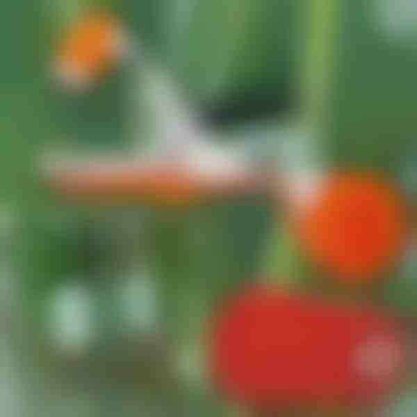 Profi-Pflanzenhefter | PLANTBRAND