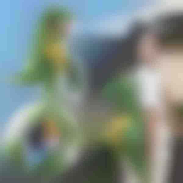 3D-Rucksack in Dinosaurier-Form | DINOBACK