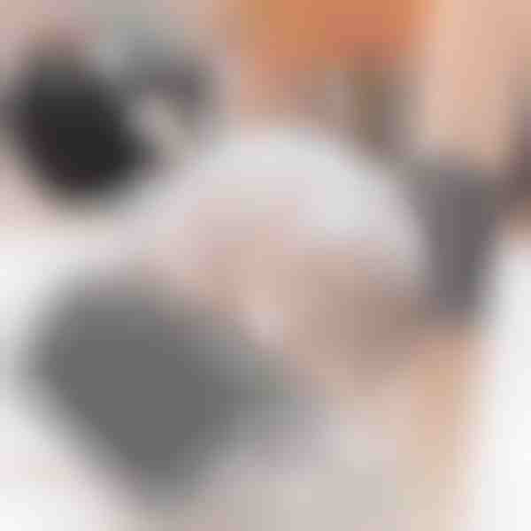 Selbstpfleger für Katzen (2 Stück) | PURRCORNER