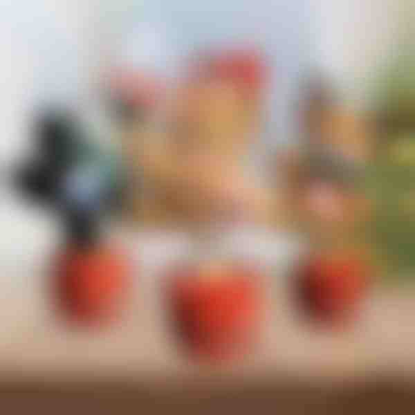 Interaktives Tanzspielzeug für Weihnachten | DANCETKO