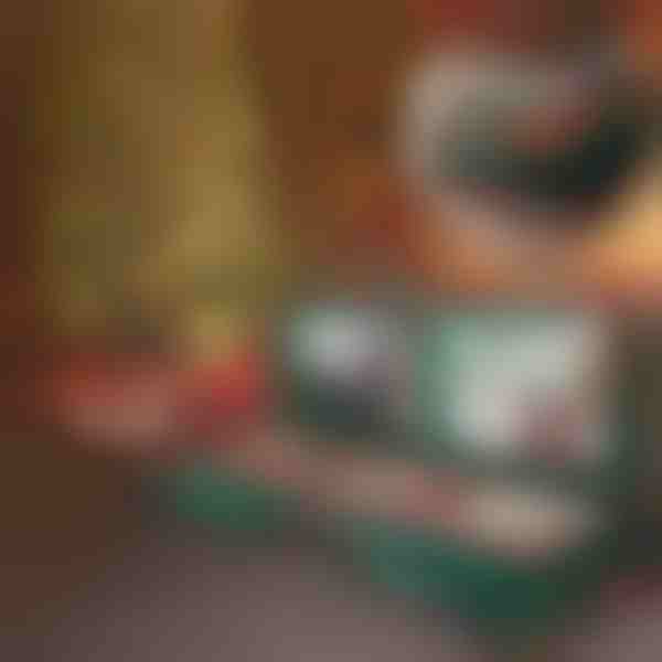 Aufbewahrungstasche für Weihnachtsdeko | WRAPINGPRO