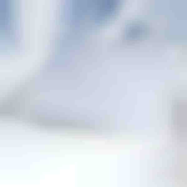 Magnetische Windschutzscheibenabdeckung gegen Schnee | FROSTCOVER